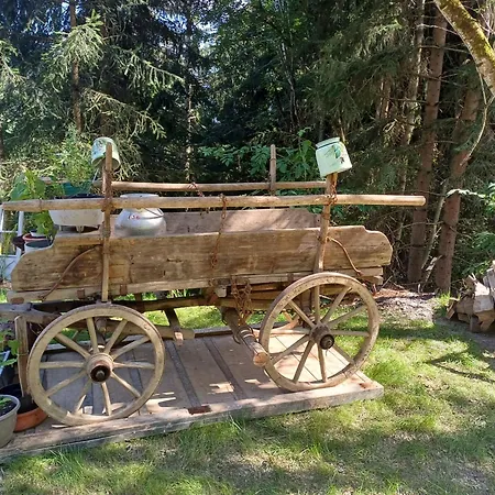 Haeusler *