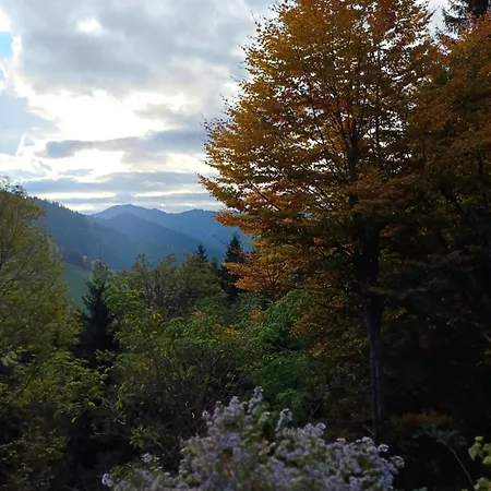 Haeusler Holiday home *