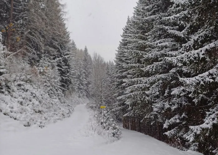 Haeusler Holiday home