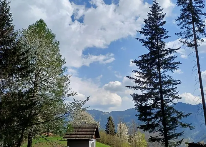 Holiday home Haeusler Sankt Erhard